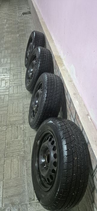 Зимний балон 195х65х15