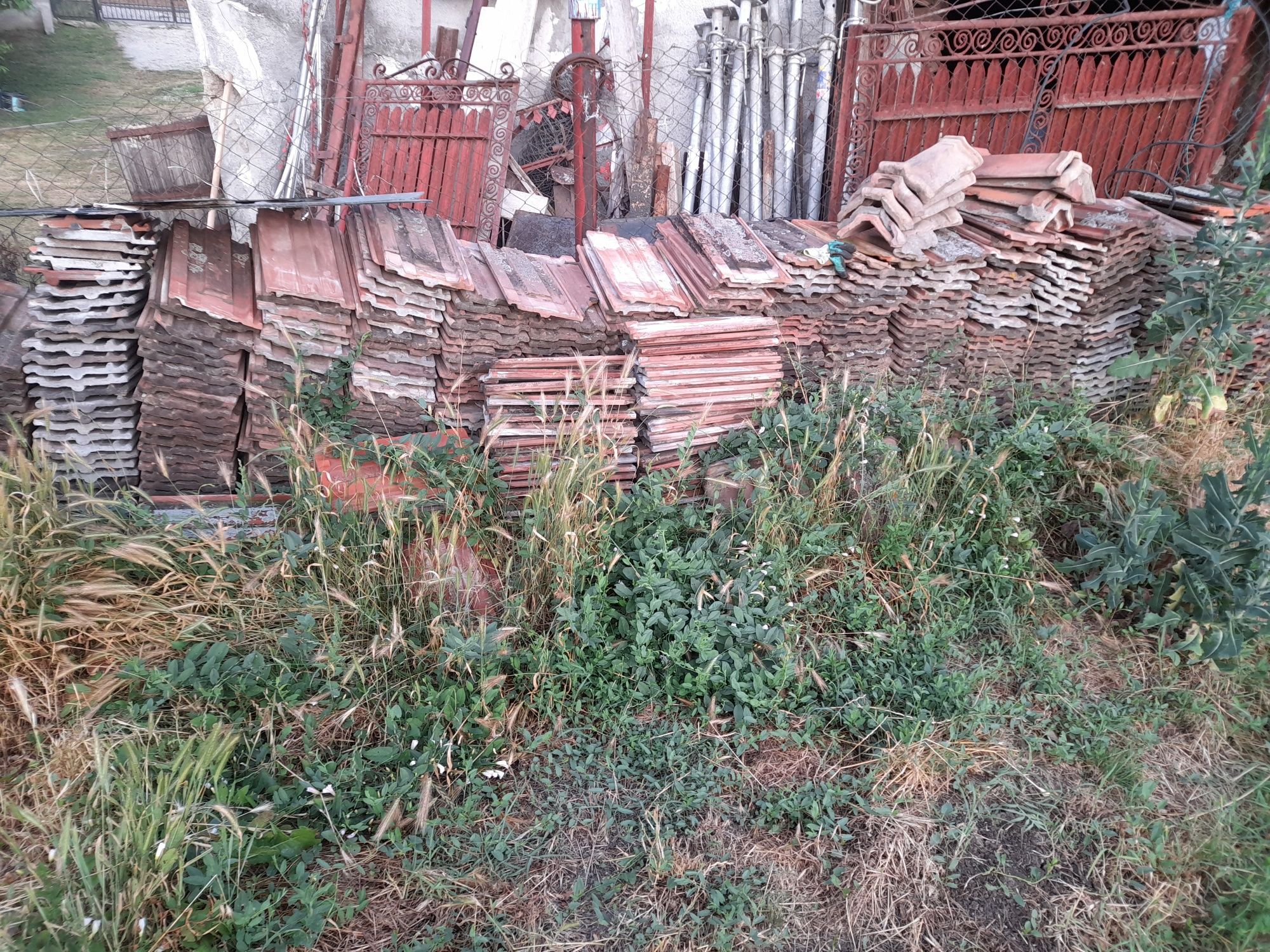 Donez tilgla in jur de 1500 buc