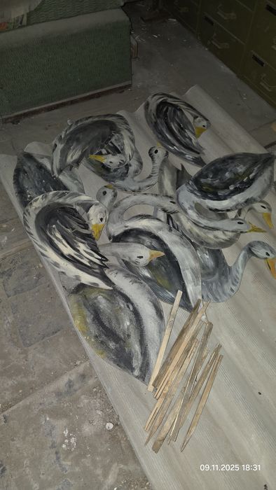 Подсадные утоки для охоты