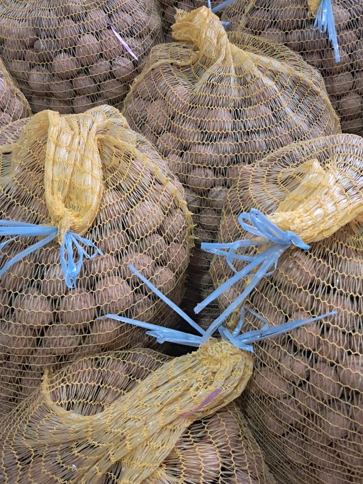 Орехи черупка 100кг