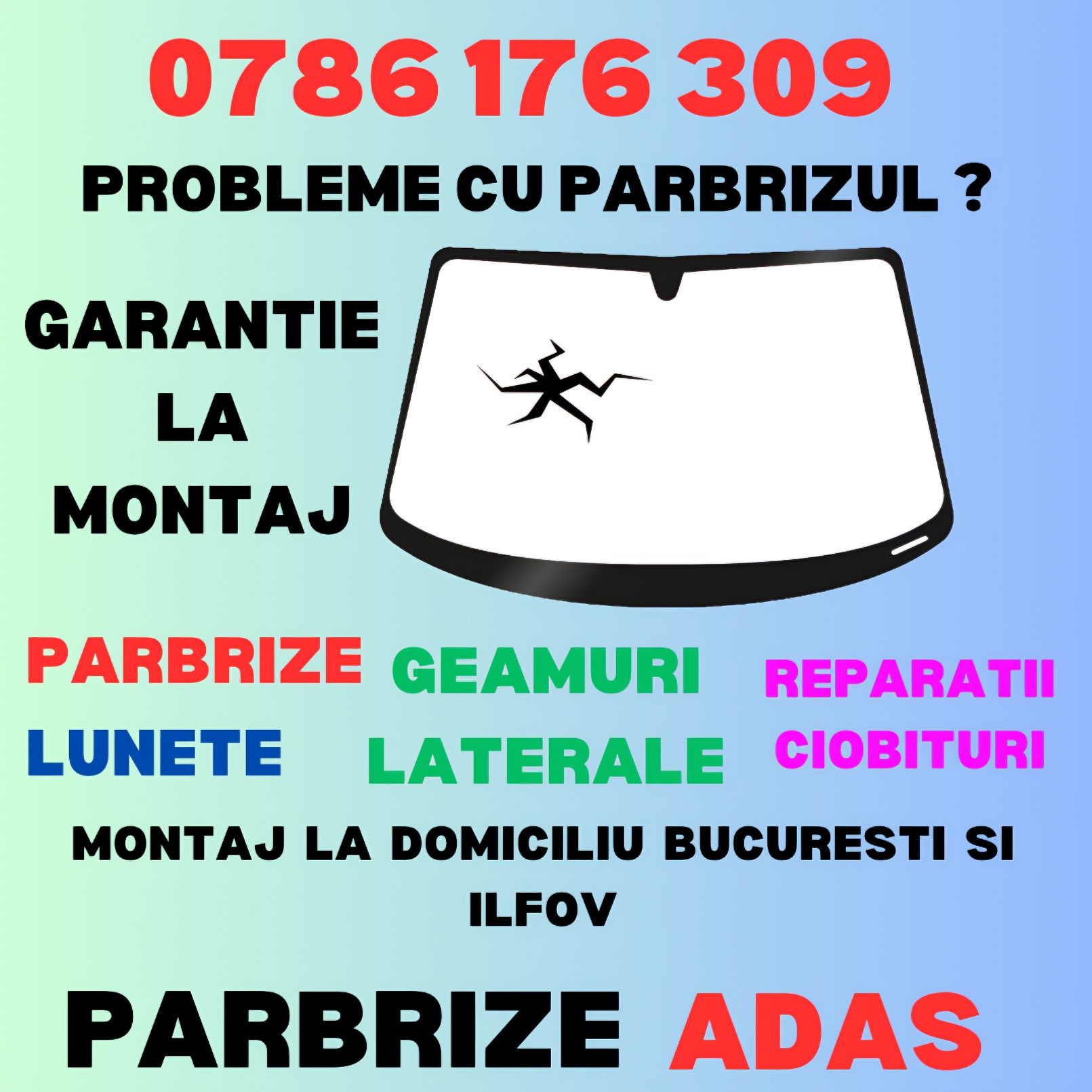 Montaj parbrize audi bmw dacia renault ford mercedes vw seat Rover...