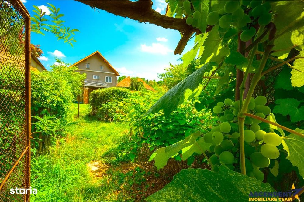 Imobil cu potential, constructie solida cu 2 apartamente,+demisol si g