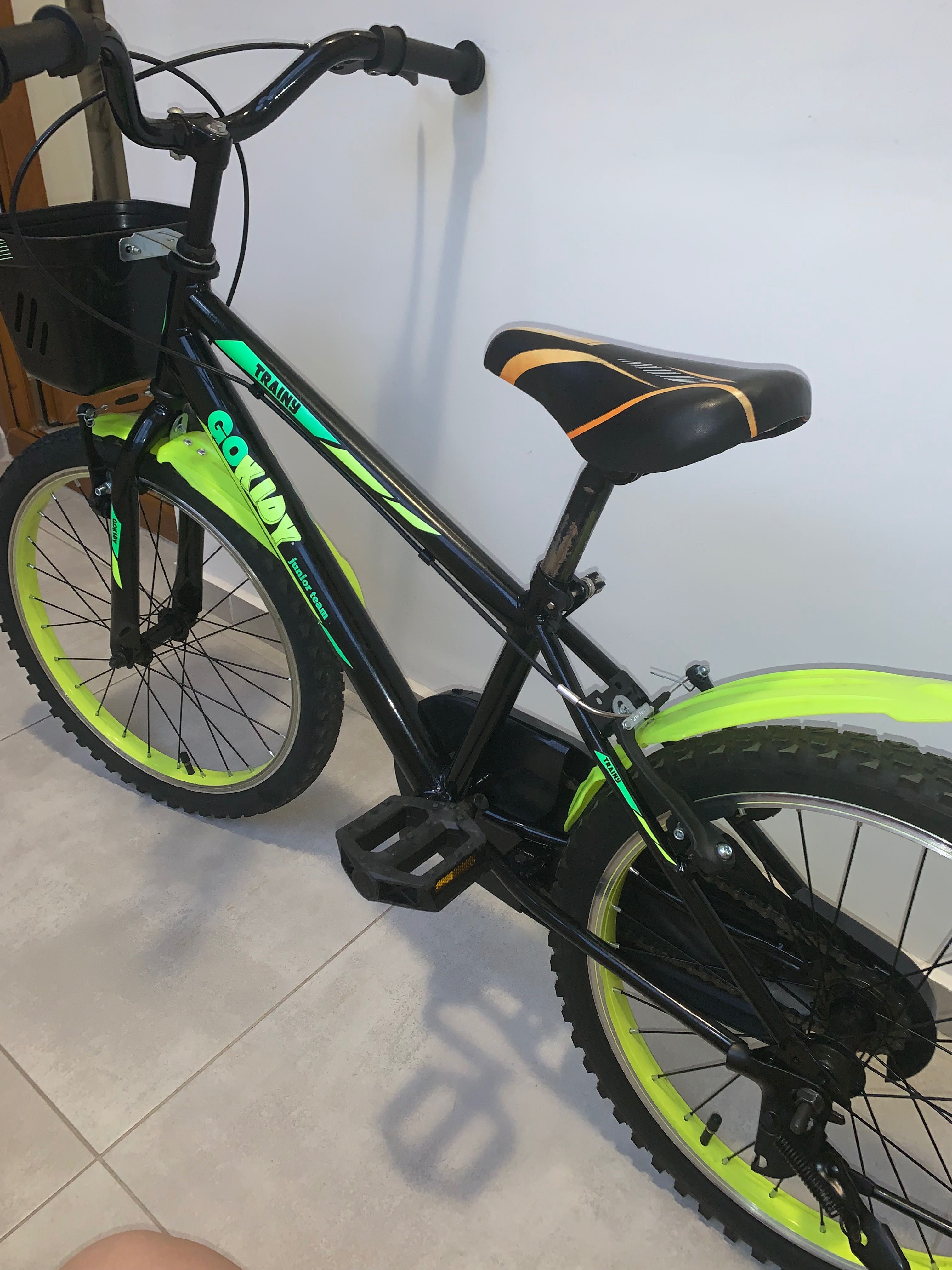 Bicicleta copii Gokidy 20”