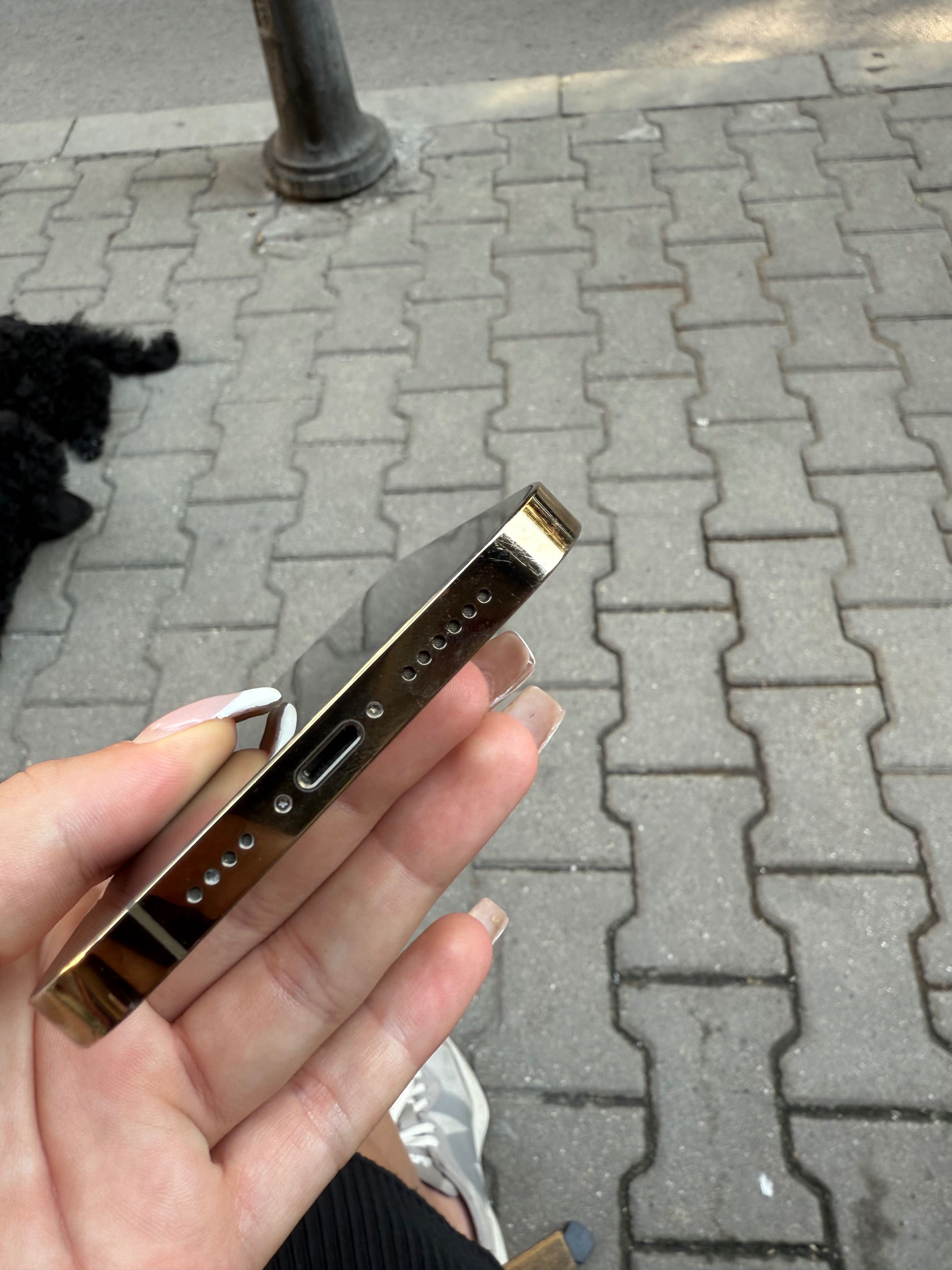 Iphone 13pro max