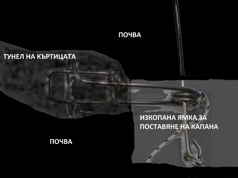 Капан за къртици и сляпо куче-неръждаем "INOX"