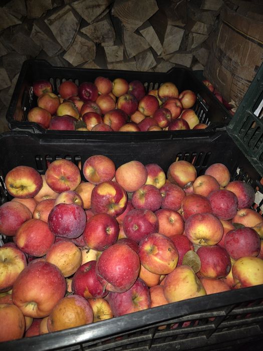 Mere Florina și Idared