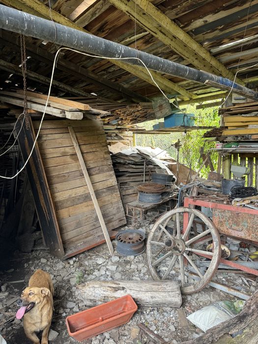Lemn de foc pentru iarna