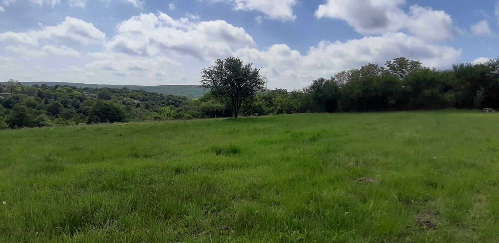 Продава се Къща в с. Кошничари, Област Търговище - 180 кв.м за 340 €/кв.м - Снимка #11