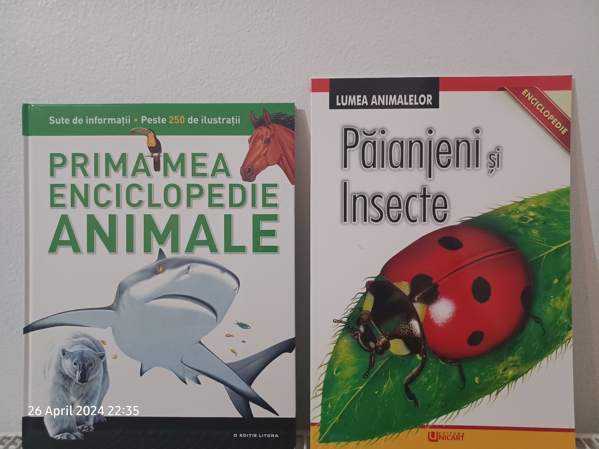 Set enciclopedie cu animale si insecte, paianjeni