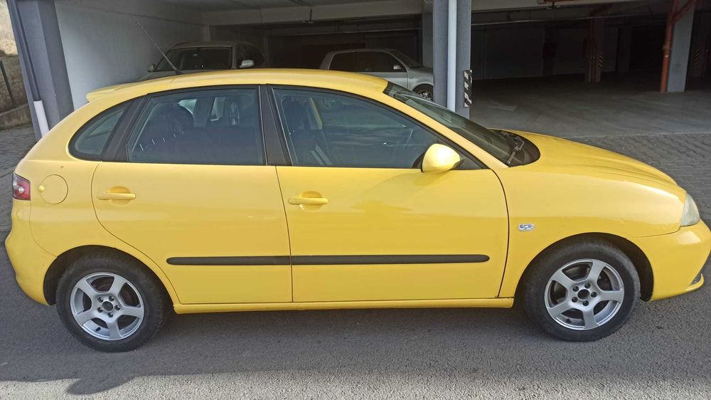 Vind Seat Ibiza, 2007