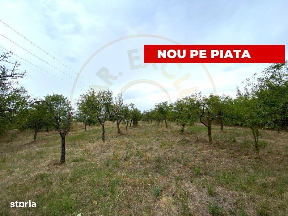 Teren intravilan 1.765 mp in Poiana Lacului, AG