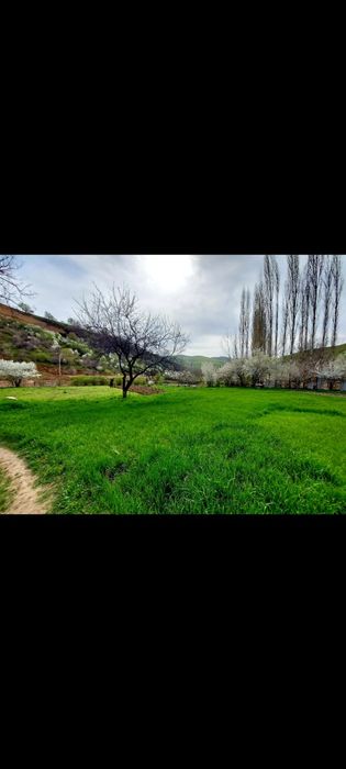 дом продаётся яяяяяяяяяяяяяяяяяяяяяяяяяяяяяяяяяяяяяяяяяяяяяяяяяя