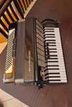 Acordeon Weltmeister 120 basi