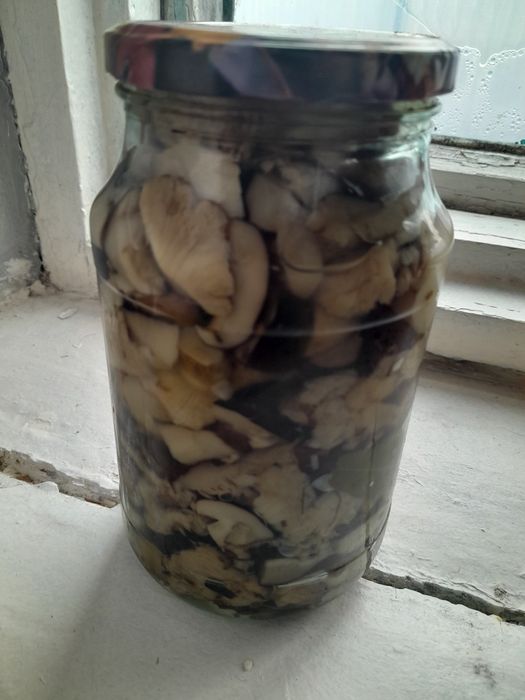 Продам солёные грибы