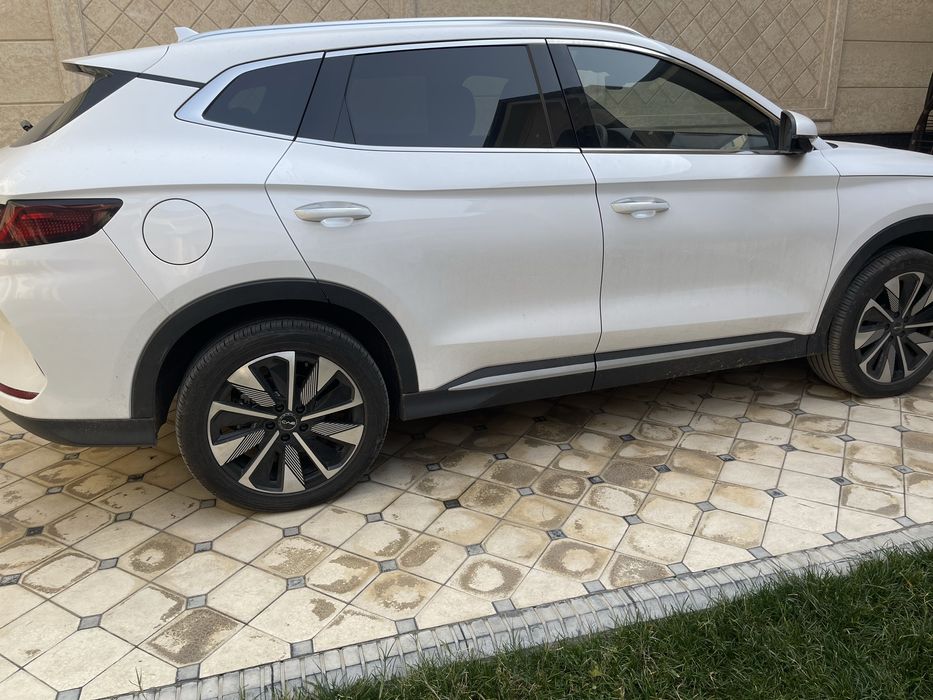 ВYD. Чимпион 605 км 2025. СРОЧНО. СОТЛАДИ.