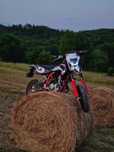 Swm sm 125 (supermoto)