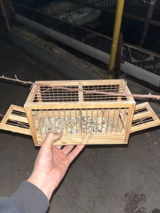 Продается ловушка для птиц