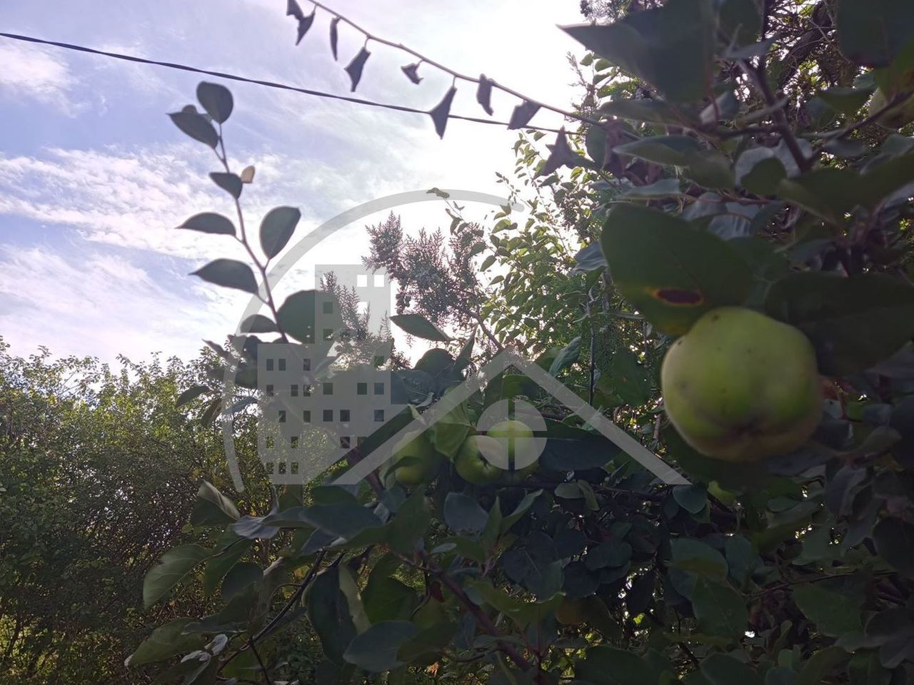 Продава се Парцел в Добрич, м-т Газибаба - 1000 кв.м за 15 €/кв.м - Снимка #3