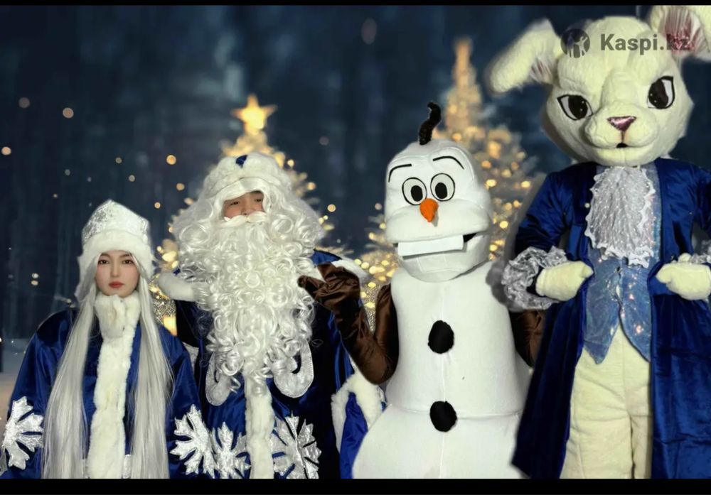 Новогодний программа аниматоров