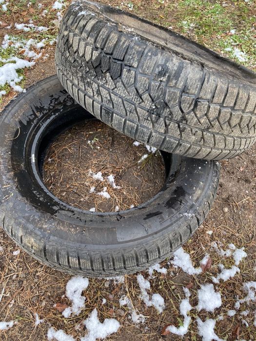 новый зимный шина Р17