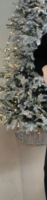 Коледно дърво елха