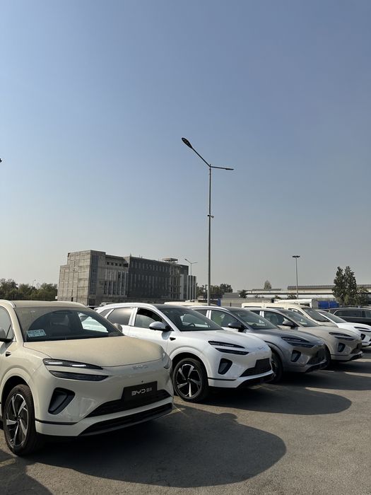 Byd Sea Lion 06 full 605km