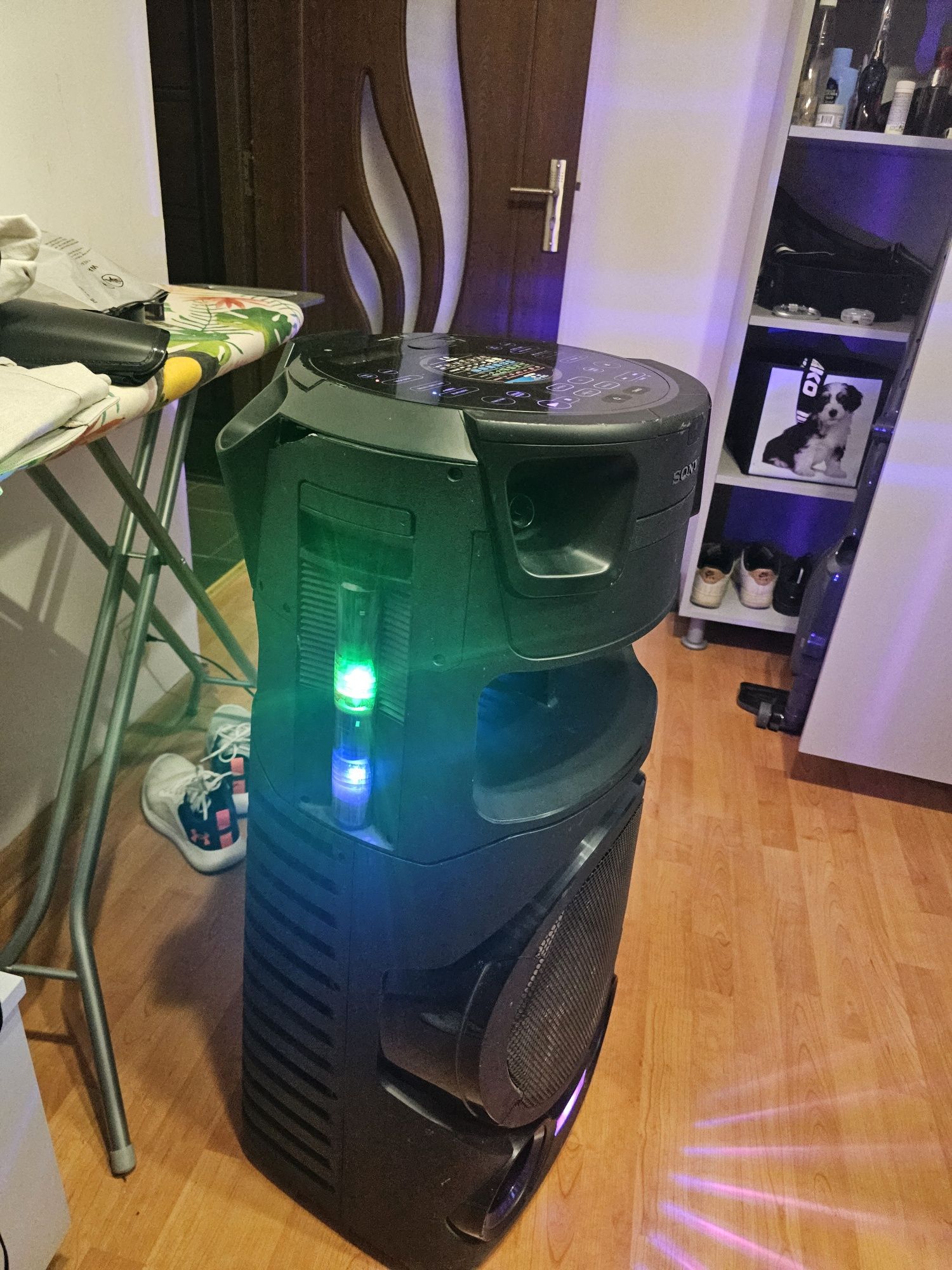 Boxa Sony MHC v73d