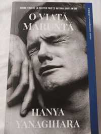 O viață măruntă- Hanya Yanagihara și alte capodopere literare