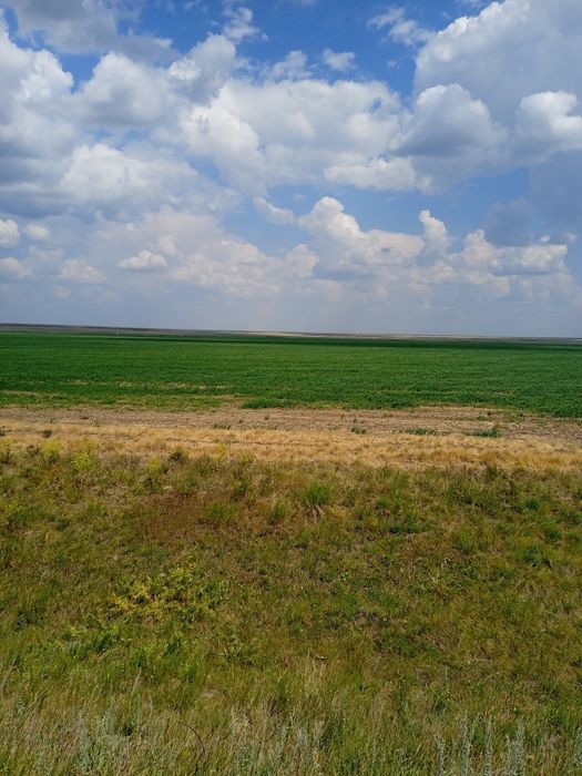 Земля сх назначения. Пашня