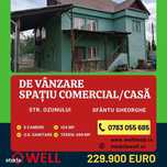 De vânzare spațiu comrecial/casă în Sfântu Gheorghe pe strada Ozunului