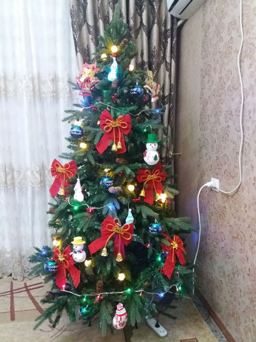 Archa sotiladi 2 metr