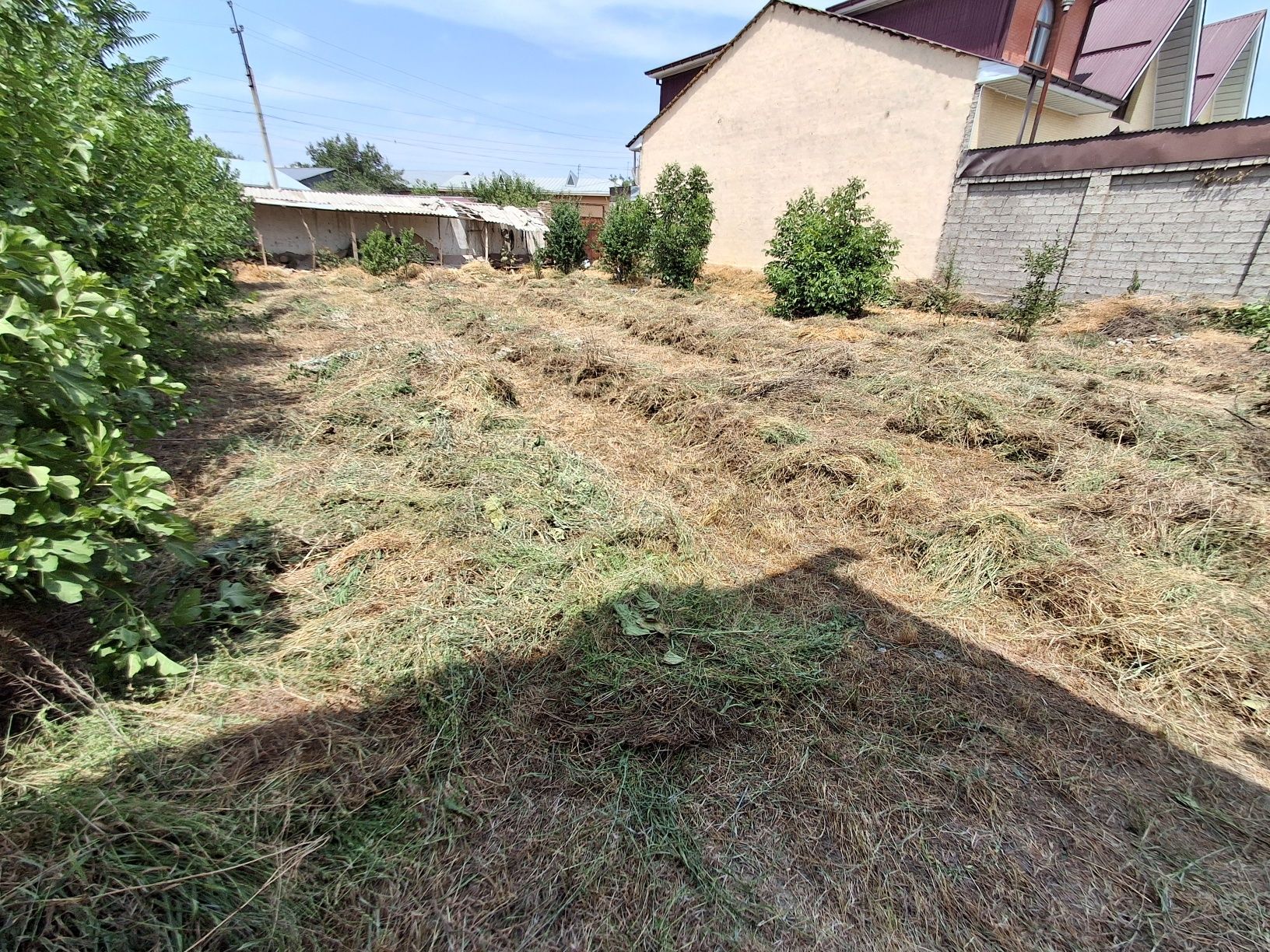 Продаётся скошенная трава