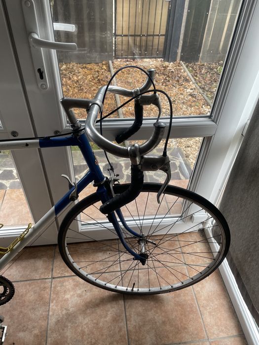 Vand cursiera englezeasca