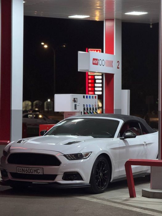 Kabriolet (Ford mustang) Rent car , Arenda