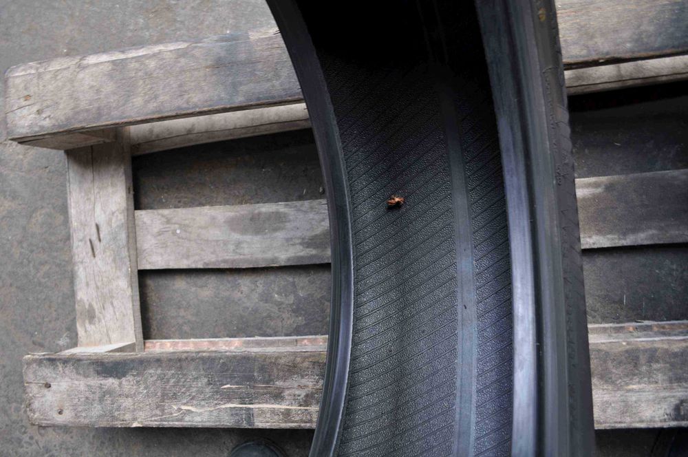 SET 2 Anvelope Iarna 235/50 R19 GRIPMAX Stature MS 99V