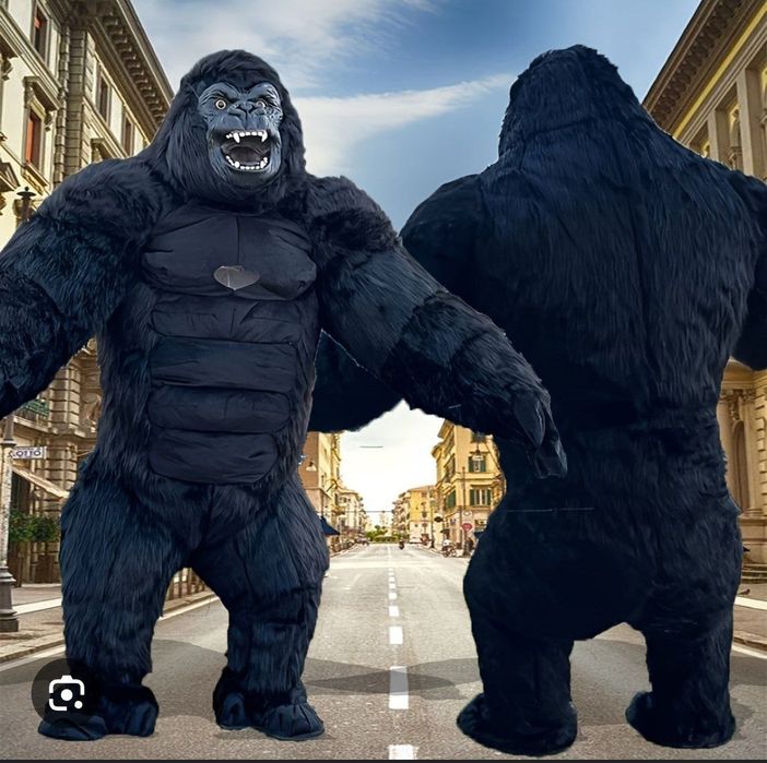 Gorilla boʻyi 2.60 sm