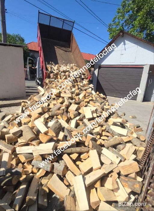 Lemne pentru foc . Pret bun la lemnele de foc fag si la carbuni lignit