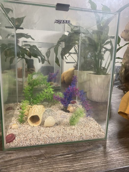 Продам аквариум б|у