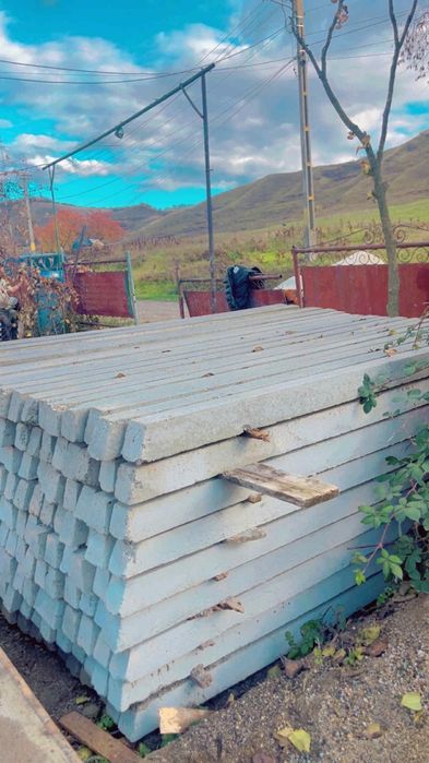 Stâlpi spalieri pentru gard vie