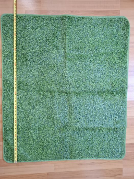 Covor antrenament,nevoi caini