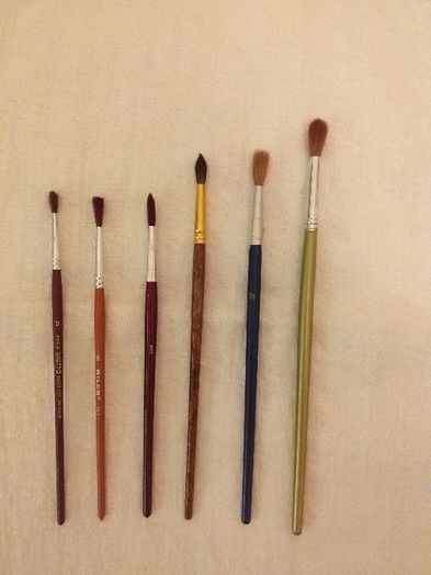 Set pensule pt pictura din par natural