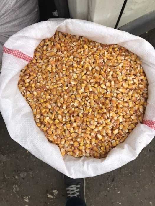 Cereale recolta 2025