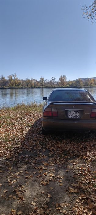 Хонда аккорд. продажа, обмен