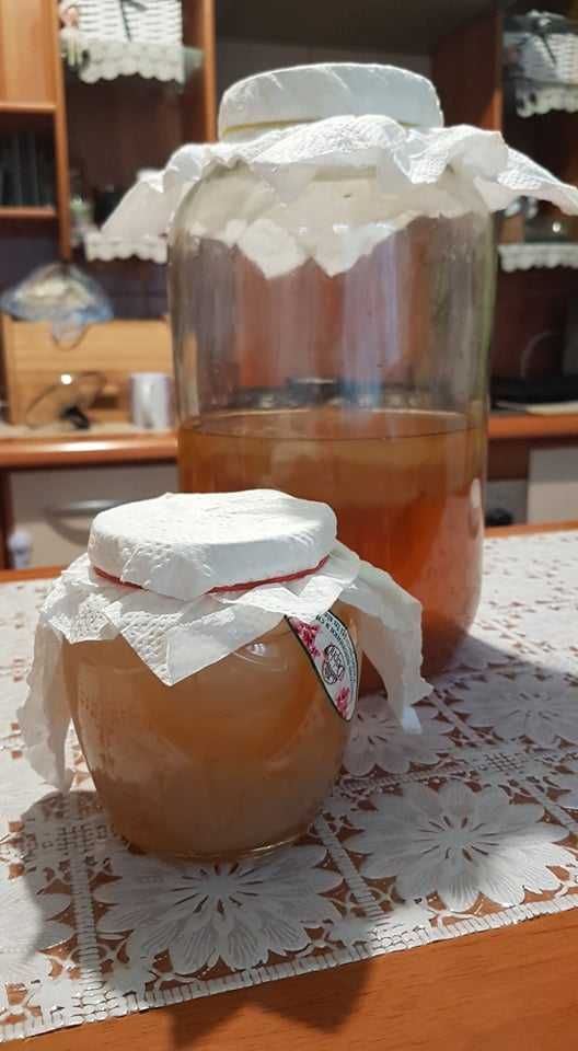 Pui kombucha in cultura starter