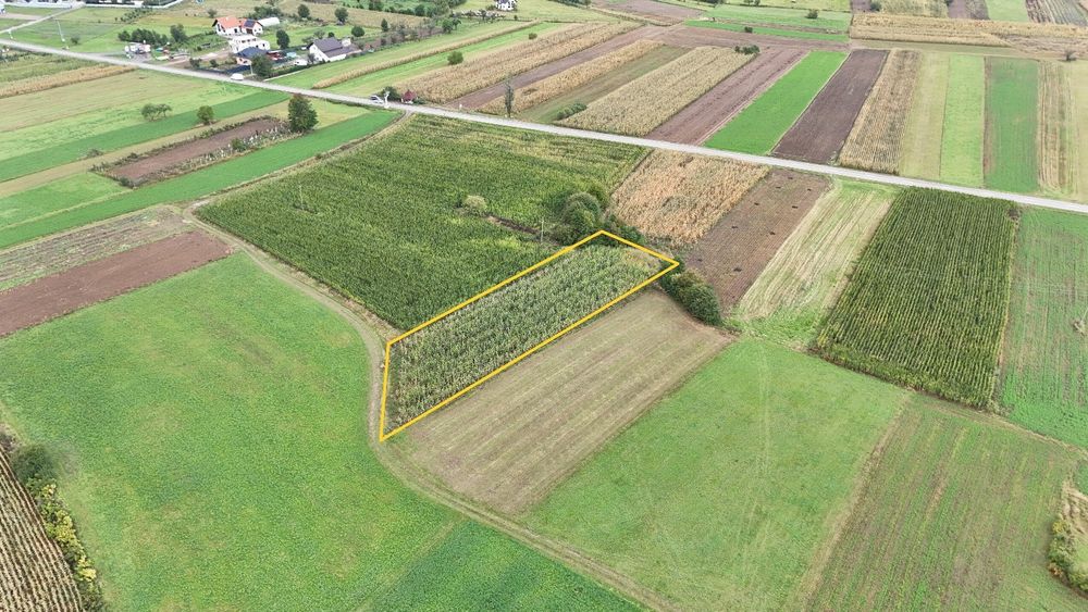 Vând teren în suprafață de 2600 mp în Solca