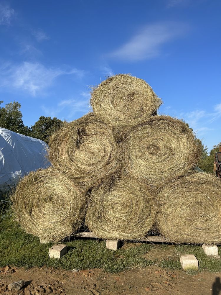 Baloți rotunzi de fan  120/150