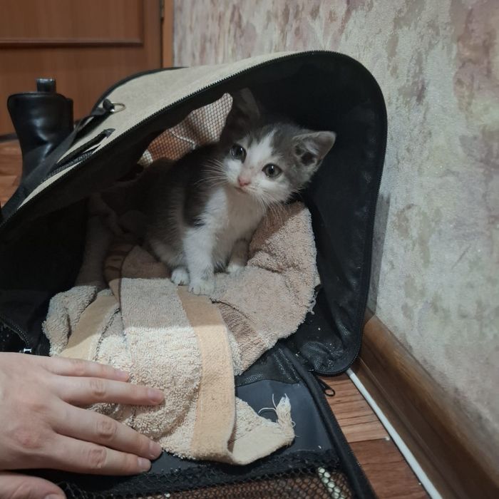 Ищу добрый дом!!