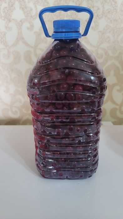 Продам домашнюю вишню очень крупная,