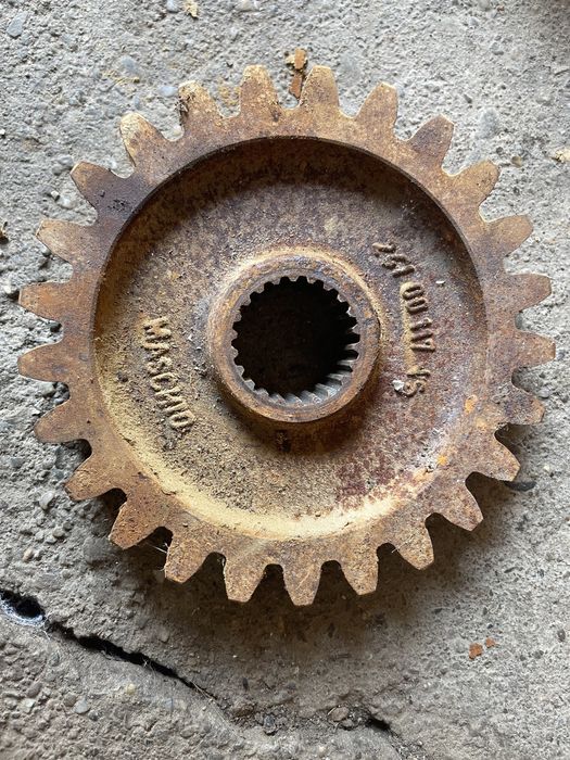 Pinion maschio dm 36100306 R