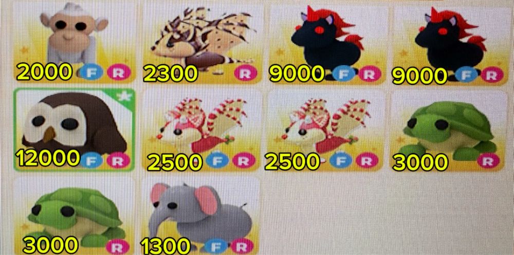 Адопт-ми питомцы